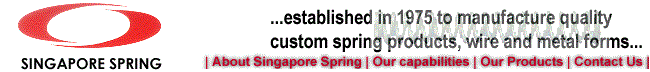 Singapore Spring Banner